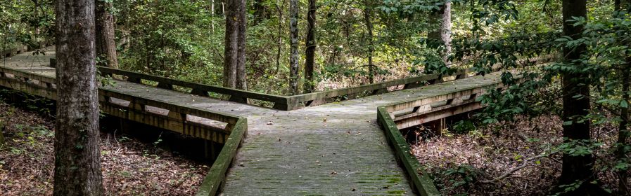 Van twijfel naar keuze: beslissingen leren nemen