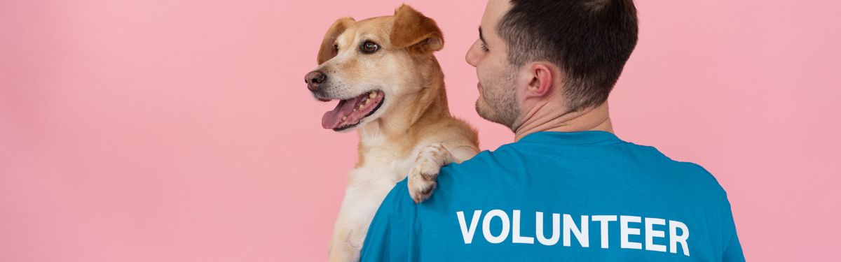100 voorbeelden van vrijwilligerswerk