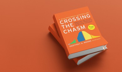 Crossing the Chasm&nbsp;(samenvatting)