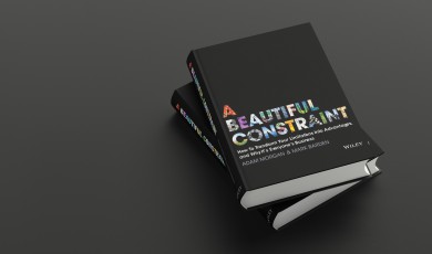 Beautiful Constraint&nbsp;(samenvatting)